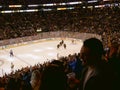 Bruins crowd celebrates ice hockey goal Royalty Free Stock Photo