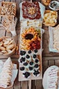 Brunch. Appetizers table with cheese, chips, bread, sandwiches, yogurt, fruits chocolate fondue tangerine, banana, kiwi,