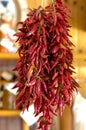 A brunch of Calabrian hot pepper put to dry in the air used for the preparation of nduja salami
