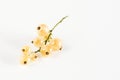 Brunch of Tasty Beautiful Ripe Currant Berry White Currant White Background Copy Space Horizontal