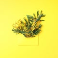 Brunches of yellow mimosa flower in envolope on yellow background. Top view. Copy space. Spring and Woman day concept Royalty Free Stock Photo