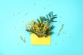 Brunches of yellow mimosa flower in envolope on blue background. Top view. Copy space. Spring and Woman day concept Royalty Free Stock Photo