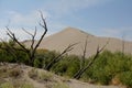 Bruneau dunes, idaho, usa Royalty Free Stock Photo