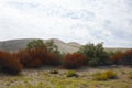 Bruneau Dunes State Park - Idaho Royalty Free Stock Photo