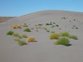 Bruneau Dunes State Park Royalty Free Stock Photo