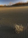 Bruneau Sand Dunes Idaho sand ripples Royalty Free Stock Photo