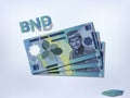 Brunei dollars money paper vector design