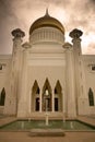 Brunei Mosque Royalty Free Stock Photo