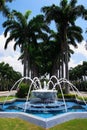 Brunei Mosque fountain and palms Royalty Free Stock Photo