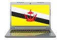 Bruneian flag on laptop screen. 3D illustration