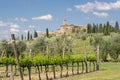 Brunello di Montalcino vineyards Royalty Free Stock Photo