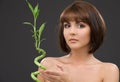 Brunette with bamboo over grey Royalty Free Stock Photo