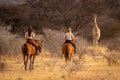 Brunette and blonde following giraffe on horseback Royalty Free Stock Photo