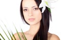 Brunette closeup woman portrait over white Royalty Free Stock Photo