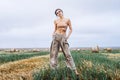 Brunette in fashionable clothes with bare shoulders standing in a wheat field on green grass. Woman holds her hands in pants Royalty Free Stock Photo