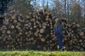 Brunette girl autumn landscape wooden cut trees background in the Minsk Belarus