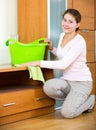 Brunette girl dusting furniture at home Royalty Free Stock Photo