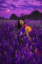 A brunette girl in a gradient haute couture dress standing among a blooming lupine field Royalty Free Stock Photo