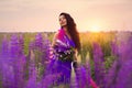 A brunette girl in a gradient haute couture dress standing among a blooming lupine field Royalty Free Stock Photo