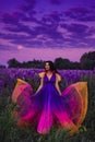 A brunette girl in a gradient haute couture dress standing among a blooming lupine field Royalty Free Stock Photo