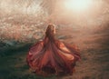 A brunette girl with wavy, thick hair runs to the sun and looks back. The princess has a luxurious, chiffon, red dress Royalty Free Stock Photo