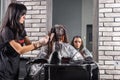 Brunette hairdresser thoroughly dyeing hair of female client using paintbrush Royalty Free Stock Photo