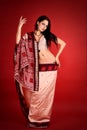 Brunette in the Indian sari Royalty Free Stock Photo