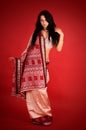 Brunette in the Indian sari Royalty Free Stock Photo