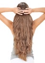 Brunette lady holding long hairs, view from back