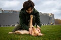 A brunette man pets his dog, which lies on the grass. A Cocker spaniel rolling on its back while its owner scratches