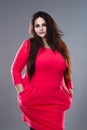 Brunette plus size fashion model in red dress, fat woman with long hair on gray background Royalty Free Stock Photo