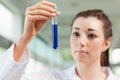 Brunette scientist looking at a test tube Royalty Free Stock Photo