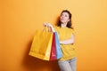 Brunette woman carrying shopping bags Royalty Free Stock Photo