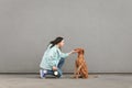 Brunette woman in casual clothing and dog on a leash sitting on a background of gray walls and playing.Owner and the pet are