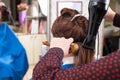 Brunette Woman Having Brown Hair Dried in Salon