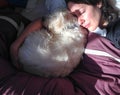 Brunette woman sleeping cuddling west highland white terrier dog Royalty Free Stock Photo