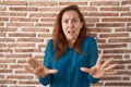 Brunette woman standing over bricks wall afraid and terrified with fear expression stop gesture with hands, shouting in shock Royalty Free Stock Photo