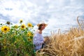 Brunette woman in white blouse sitting on a background of golden wheat and sunflowers fields Royalty Free Stock Photo