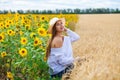 Brunette woman in white blouse sitting on a background of golden wheat and sunflowers fields Royalty Free Stock Photo