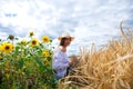 Brunette woman in white blouse sitting on a background of golden wheat and sunflowers fields Royalty Free Stock Photo