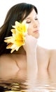 Brunette with yellow lily flowers in water Royalty Free Stock Photo