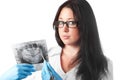 Brunette young female dentist holding x-ray Royalty Free Stock Photo