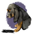 Bruno Jura Hound puppy digital art illustration Royalty Free Stock Photo