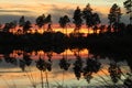 Brunswick Forest mirror silhouette sunset Royalty Free Stock Photo
