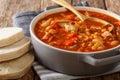 Brunswick stew is a popular dish in the south of America, made f