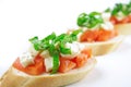 Bruschetta Royalty Free Stock Photo