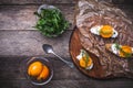 Bruschetta with cheese, tomatoes and salad rocket in rustic style Royalty Free Stock Photo