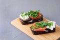 Bruschetta with Grilled Eggplant Tomatoes Cottage Cheese and Fresh Aromatic Herbs on a Wooden Tray Delicious Mediterranean Royalty Free Stock Photo