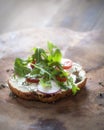 Bruschetta with radish, ruccola and cheese spread