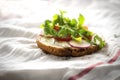 Bruschetta with radish, ruccola and cheese spread